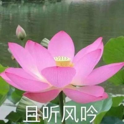 蔡崇信公益基金会2023以体树人教育研讨会在杭州举办